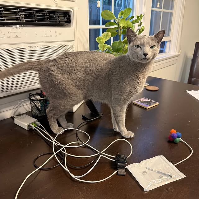  ......n_boris   'recent posts' 