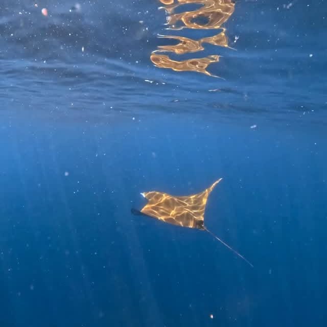  ......uecoast   'recent posts' 