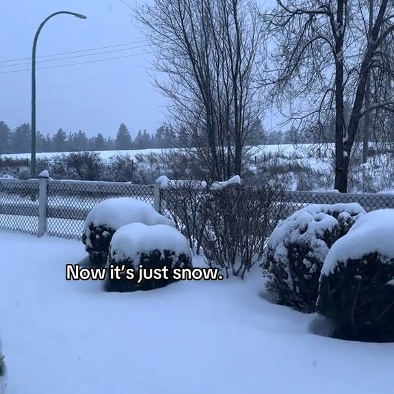  .....sland   'recent posts' 