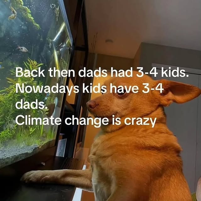  ......nlives   'recent posts' 