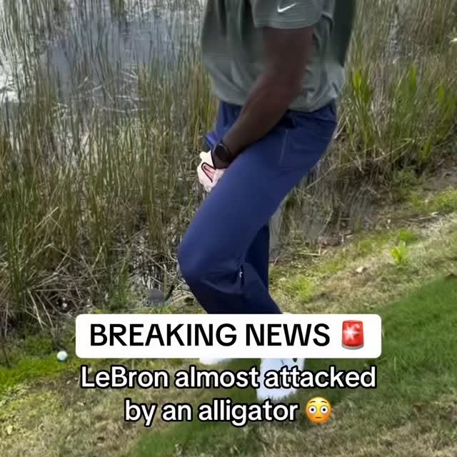  .......rtistry   'recent posts' 