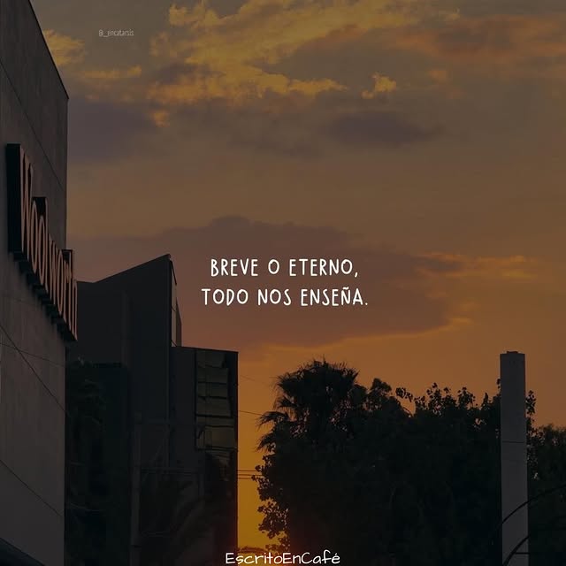  ......oencafe   'recent posts' 