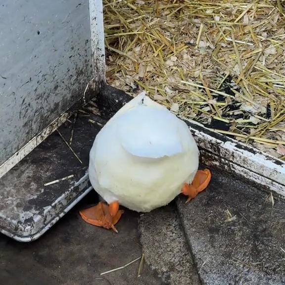  ........ckstatue   'recent posts' 