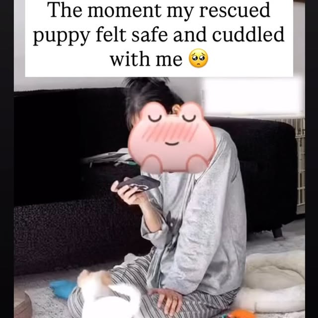  ....s.acc   'recent posts' 