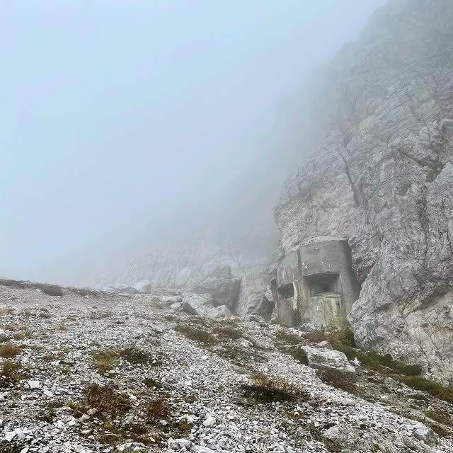  .....shflow   'recent posts' 