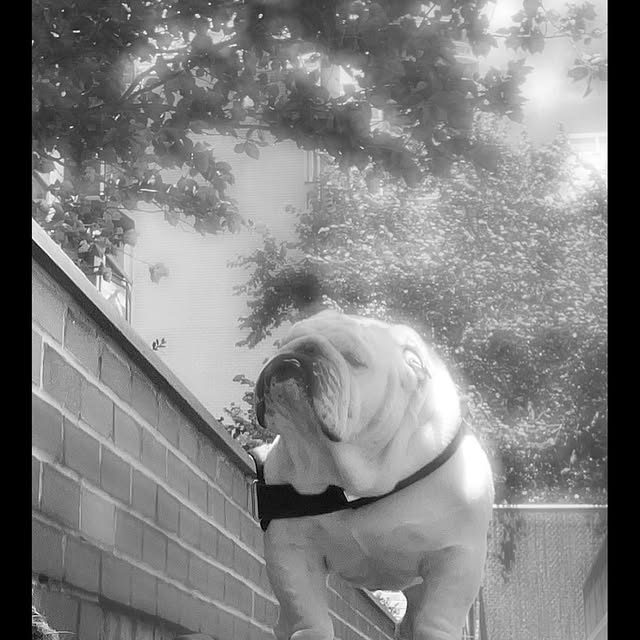  ......rwhite   'recent posts' 