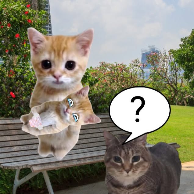  ......anacat   'recent posts' 