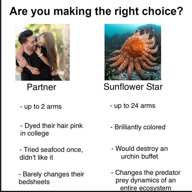  .....0shit   'recent posts' 