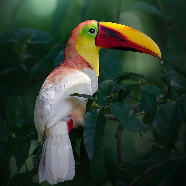  ......sfervor   'recent posts' 