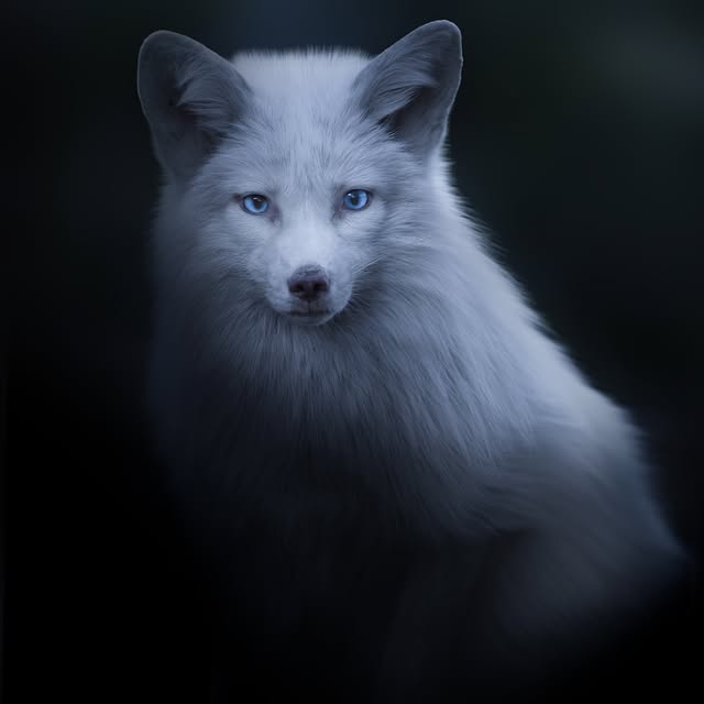  .....awhite   'recent posts' 