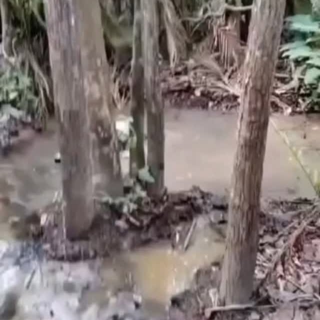  ......fehood   'recent posts' 