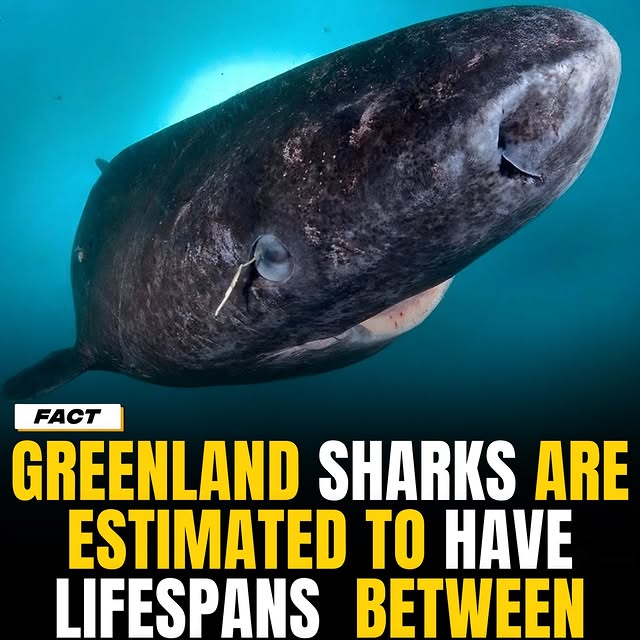 .......onfacts   'recent posts' 