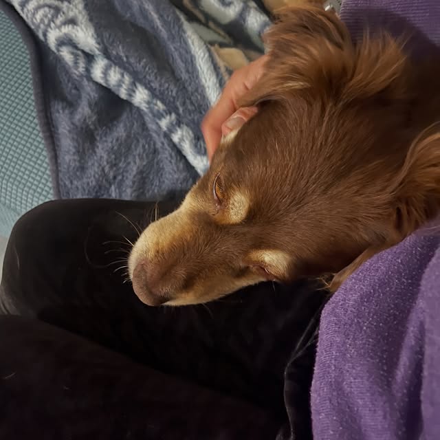  .....og2020   'recent posts' 