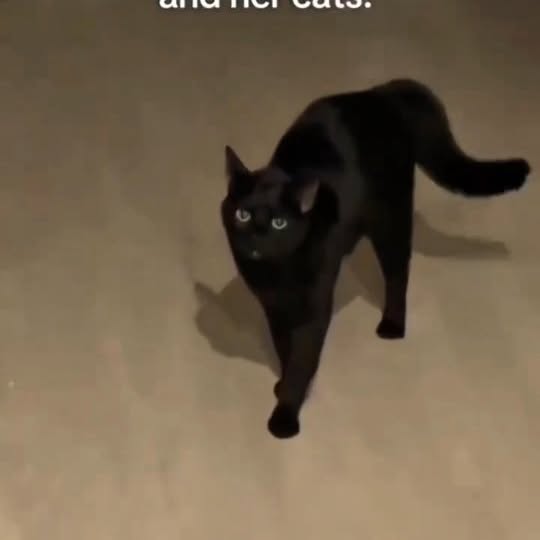  .......ats_club   'recent posts' 