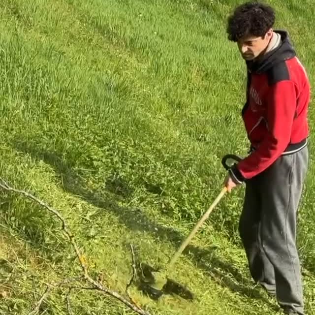  .......ficially   'recent posts' 