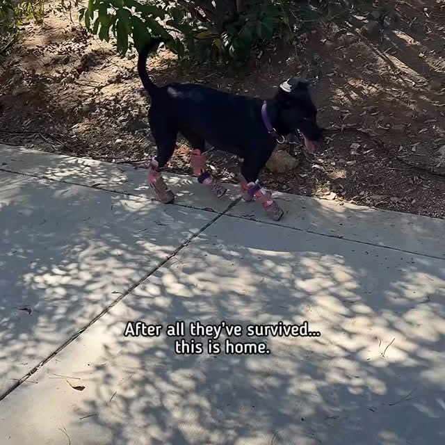  ........malsgram   'recent posts' 