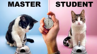  ....usic  'recent videos' 