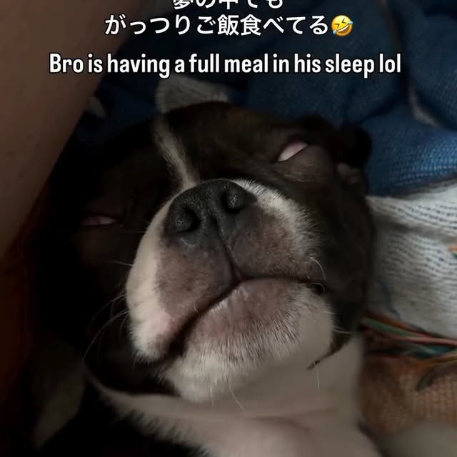  ........pizzalife   'recent posts' 