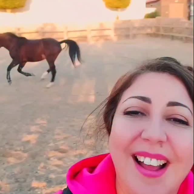  ........benziane   'recent posts' 