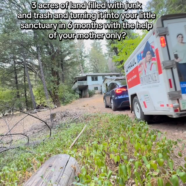  ......_diana   'recent posts' 