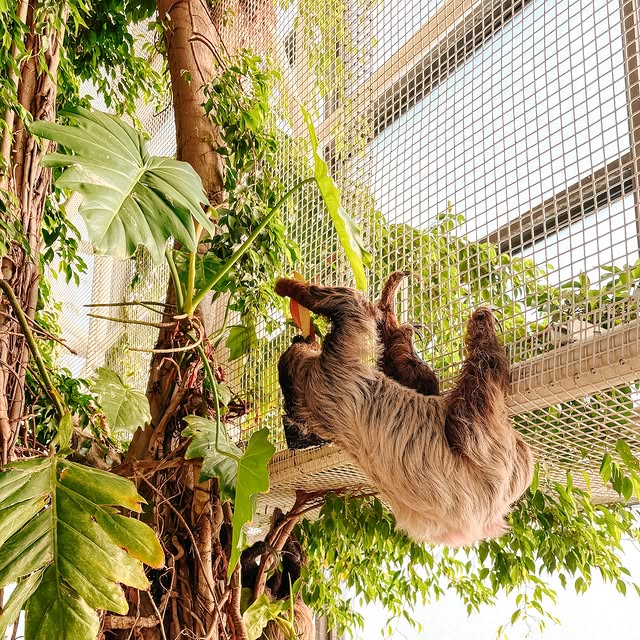  .......smallgrl   'recent posts' 