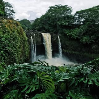 Hire .......ngnation influencer with 10.5k