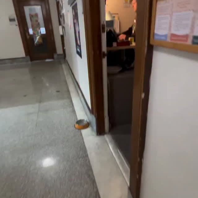  ........._jokes1982   'recent posts' 