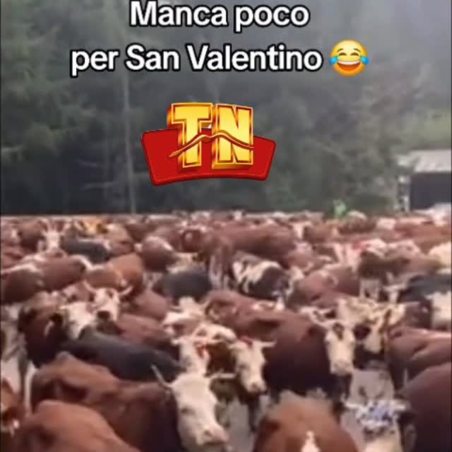  ........oletano_   'recent posts' 