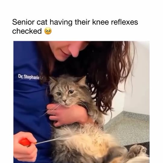  .....sarena   'recent posts' 