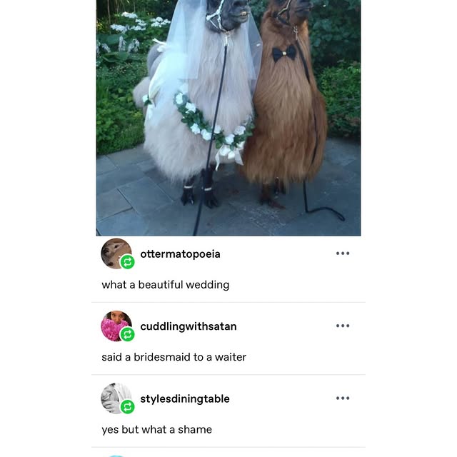  ......rldpage   'recent posts' 