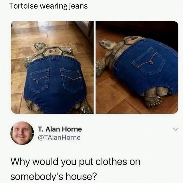  ......reguide   'recent posts' 