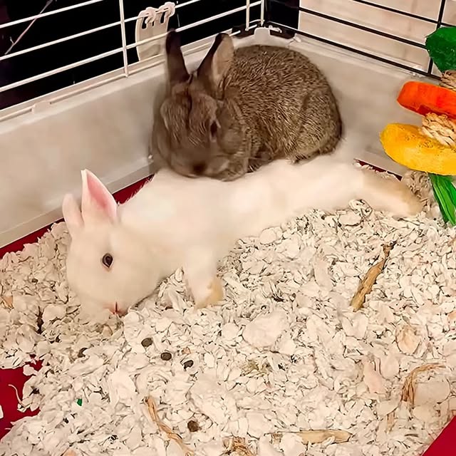  ........malsgram   'recent posts' 