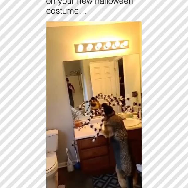  ......rposts   'recent posts' 