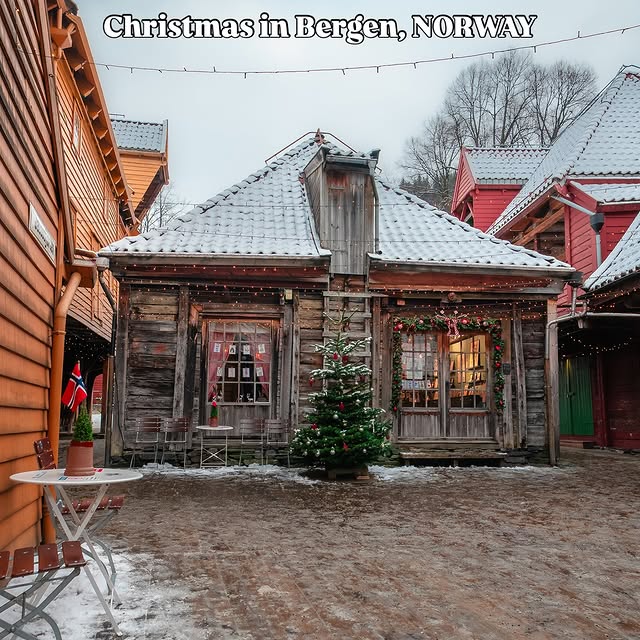  ....ayraw   'recent posts' 