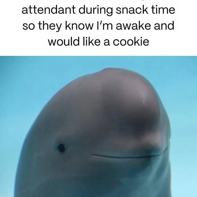  ........ucketlist   'recent posts' 