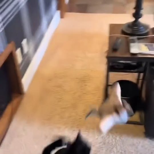  .......ats_club   'recent posts' 