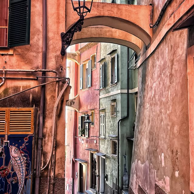  ......_viola   'recent posts' 