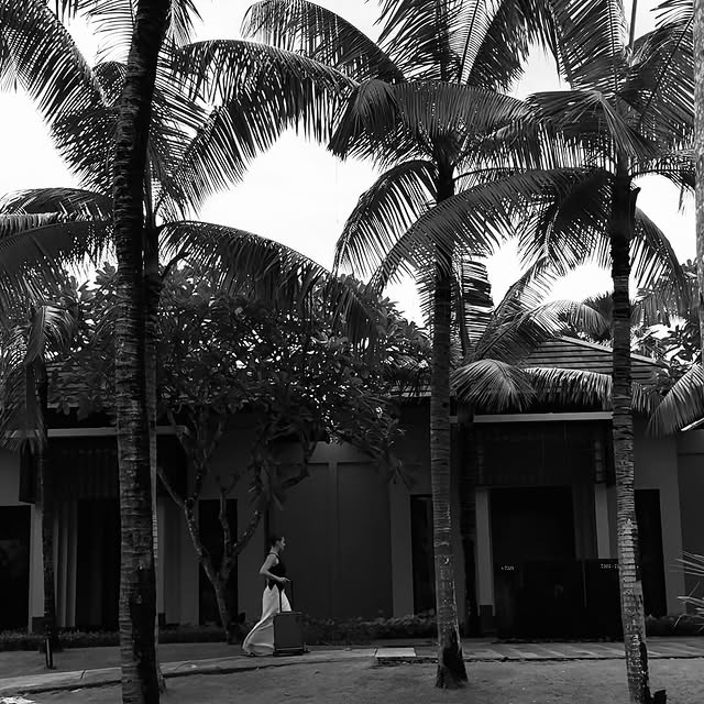  ....shova   'recent posts' 