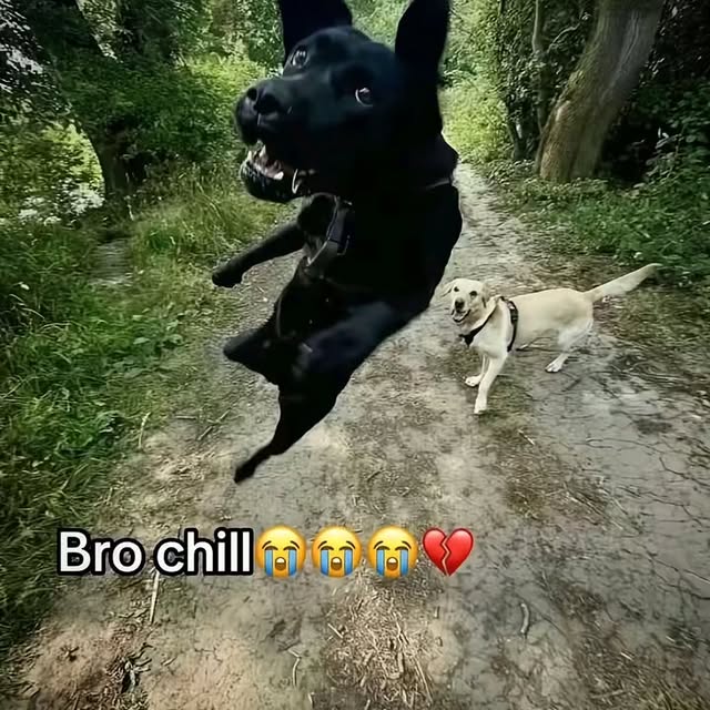  ......urluck   'recent posts' 