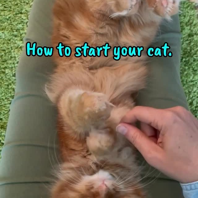  .........tofficial   'recent posts' 