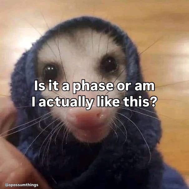  ......mthings   'recent posts' 