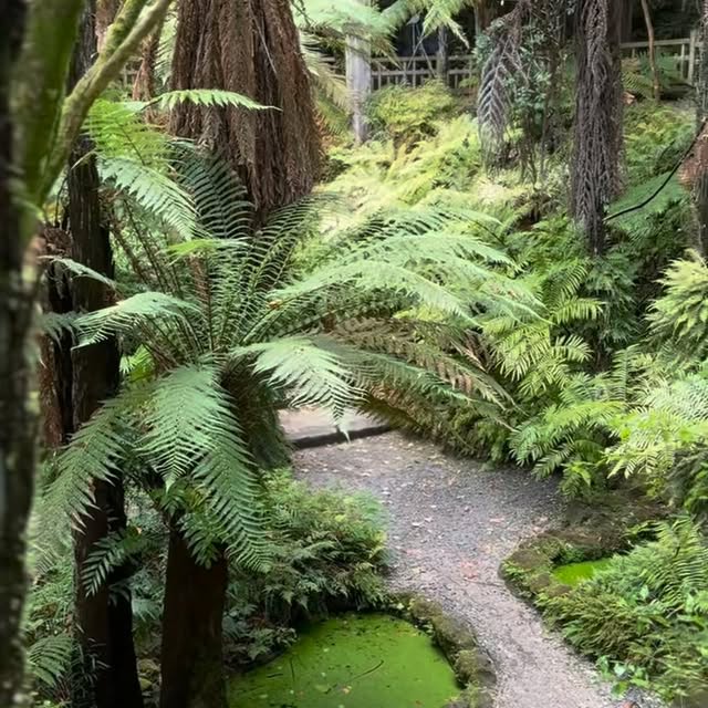  .......newport   'recent posts' 