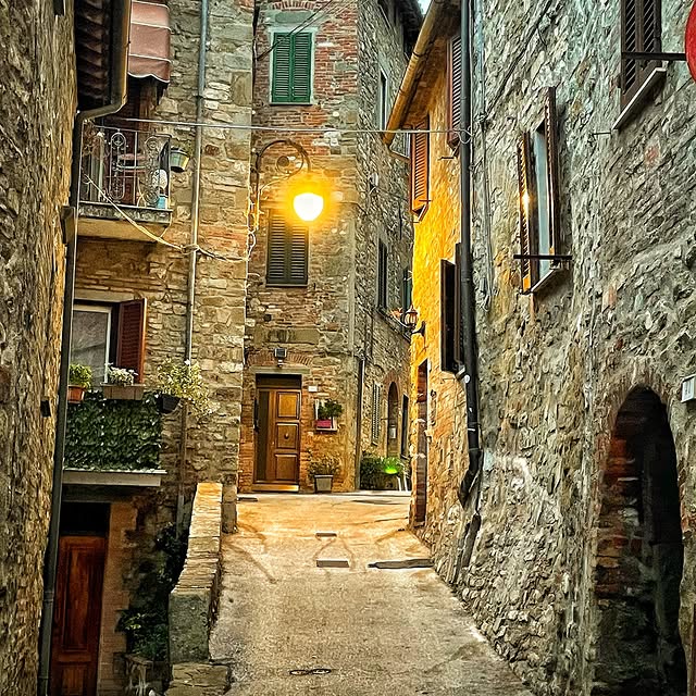  ......_viola   'recent posts' 