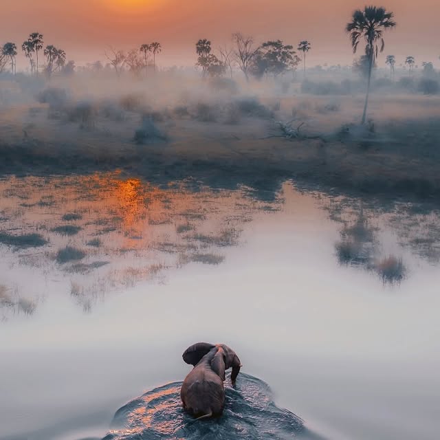  .......refervor   'recent posts' 