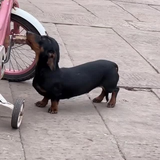  ..........fan.club_   'recent posts' 