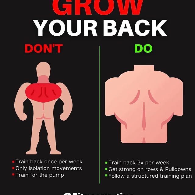  ......ruzfit   'recent posts' 