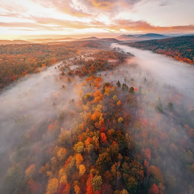  .......ul_lives   'recent posts' 