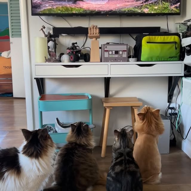  ......adamus   'recent posts' 