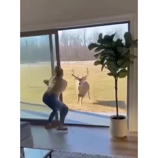  ...edy   'recent posts' 