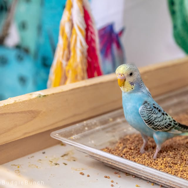  .......iebunch   'recent posts' 